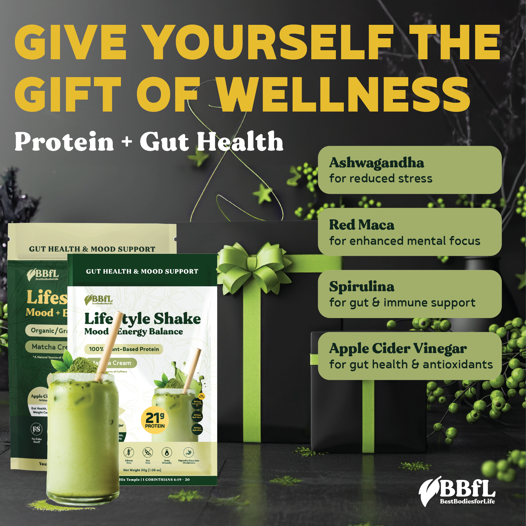 4-Pack BBfL Lifestyle Shakes + FREE Ice Shaker Bundle (Save 20%) - BestBodiesforLife