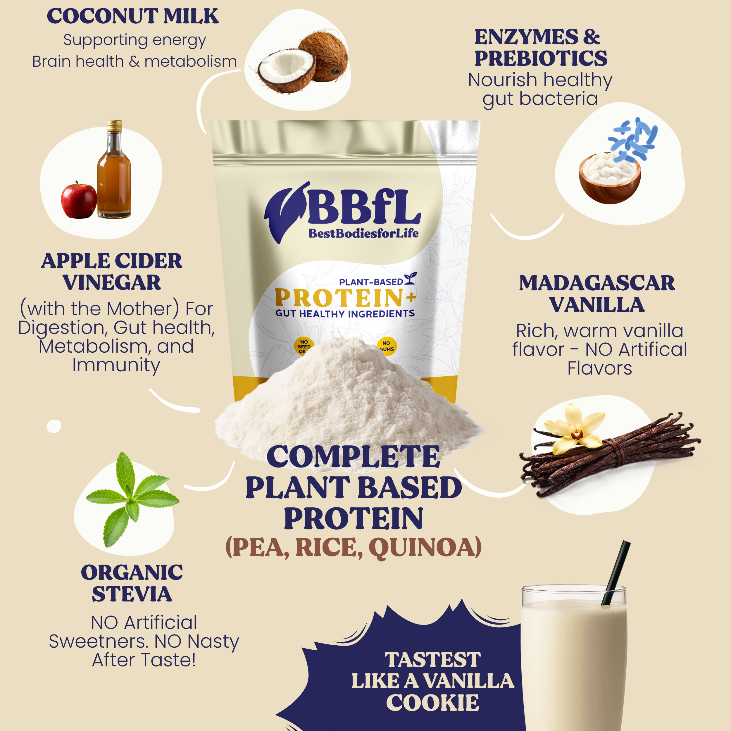 BBfL Vanilla Cream (Plant-Based)
