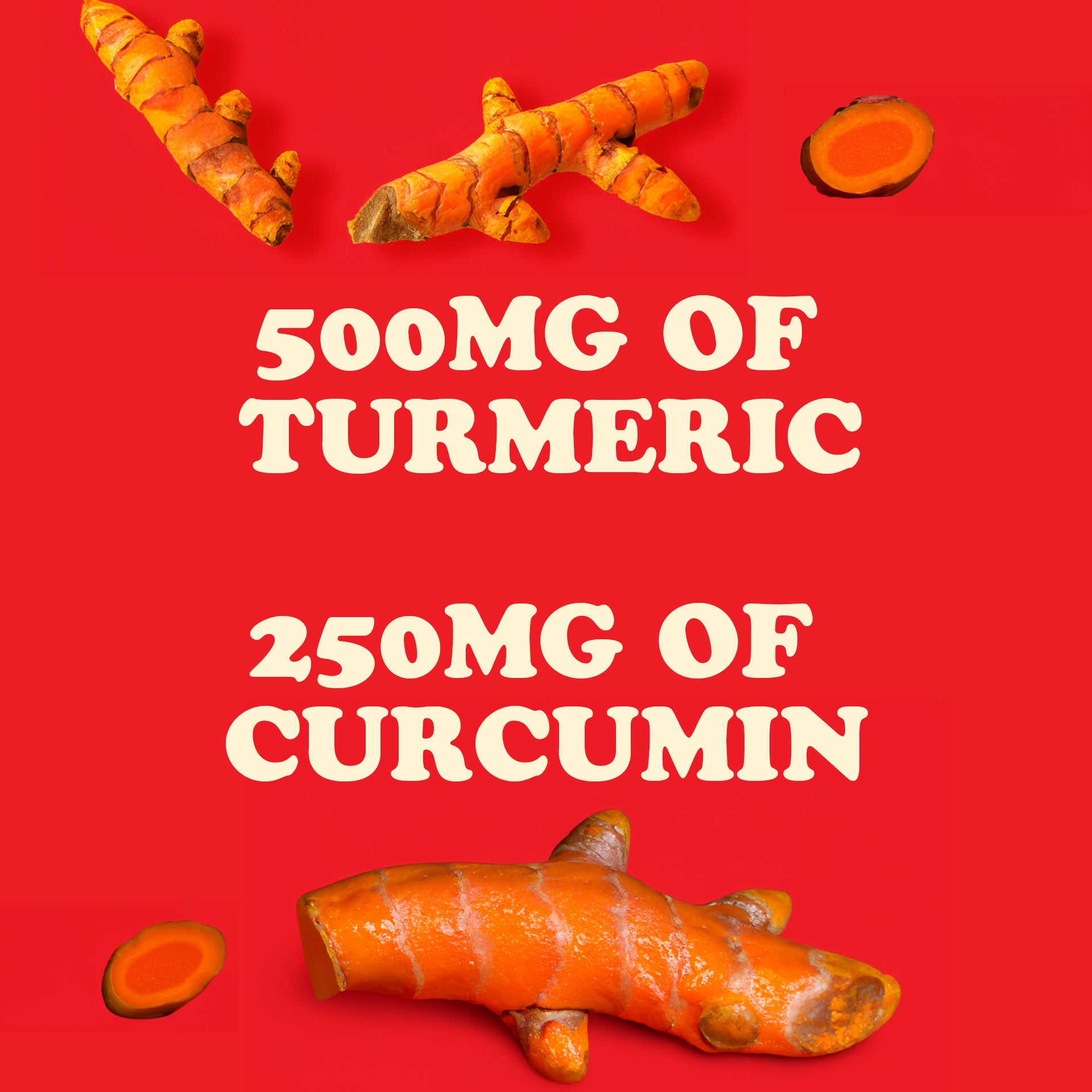 100% Plant Based Turmeric Curcumin Cream Life Style Shake (Creamy & Cinnamoney)