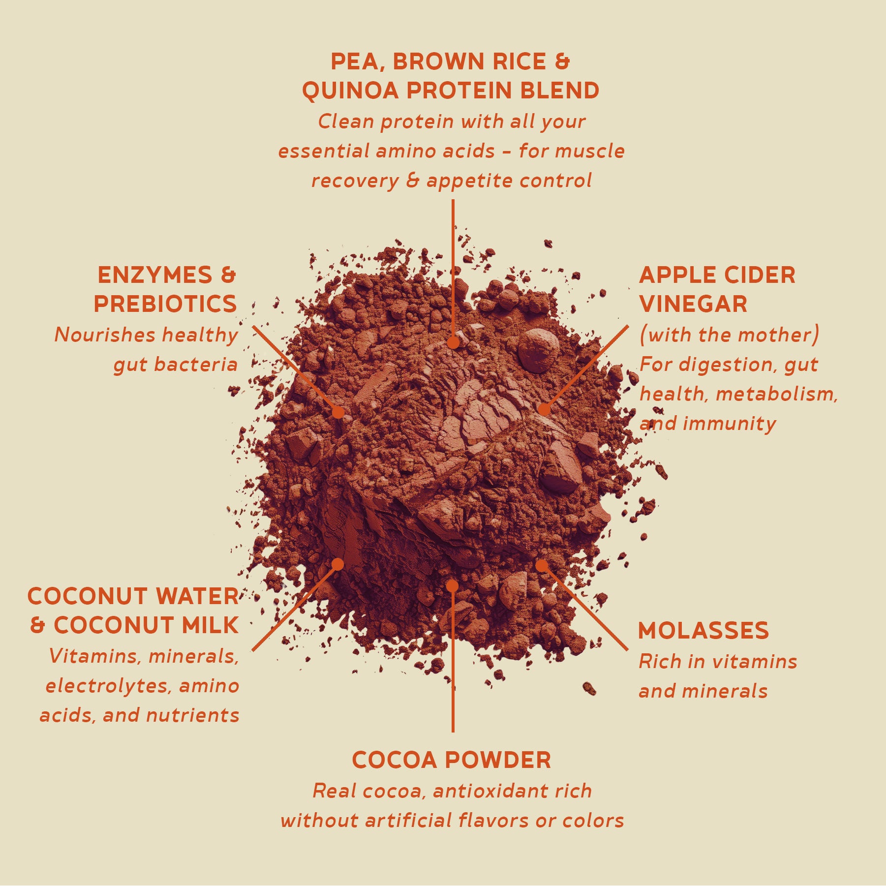 BBfL Cocoa Cream (Plant-Based) - 10 Pack - BestBodiesforLife