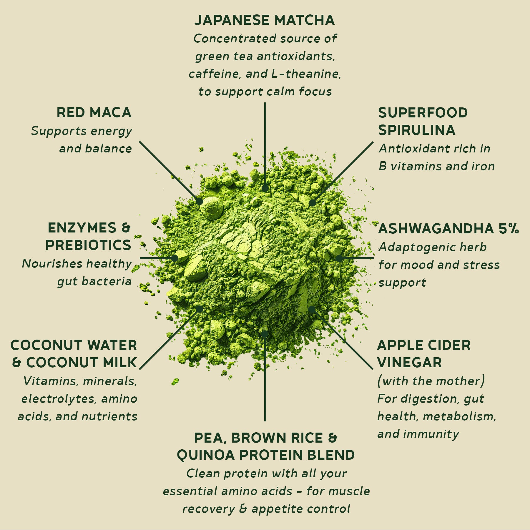 BBfL Adaptogenic Matcha Cream (Plant-Based) - 10 Pack - BestBodiesforLife