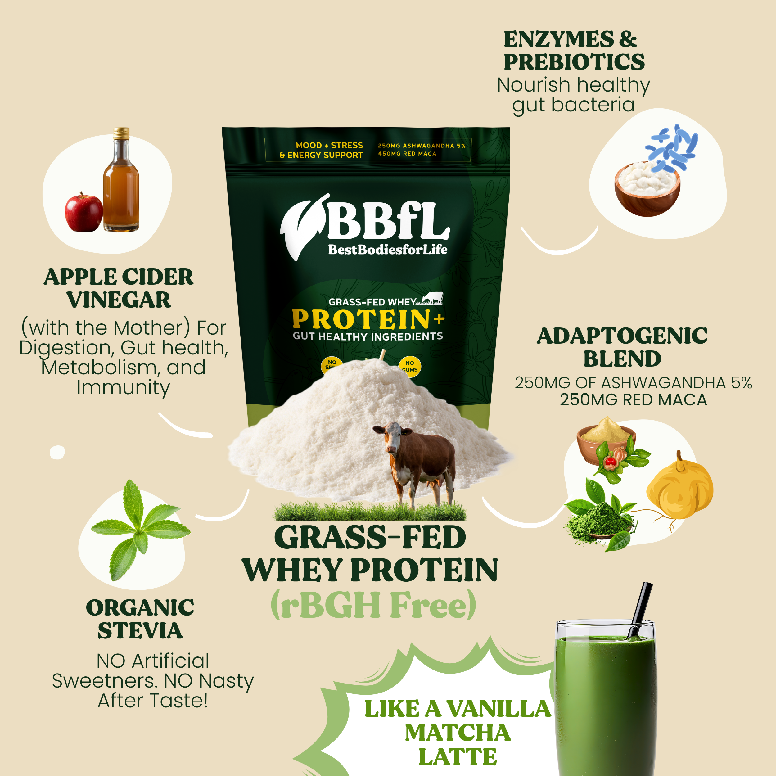 BBfL Adaptogenic Matcha Cream (Grass-fed Whey)