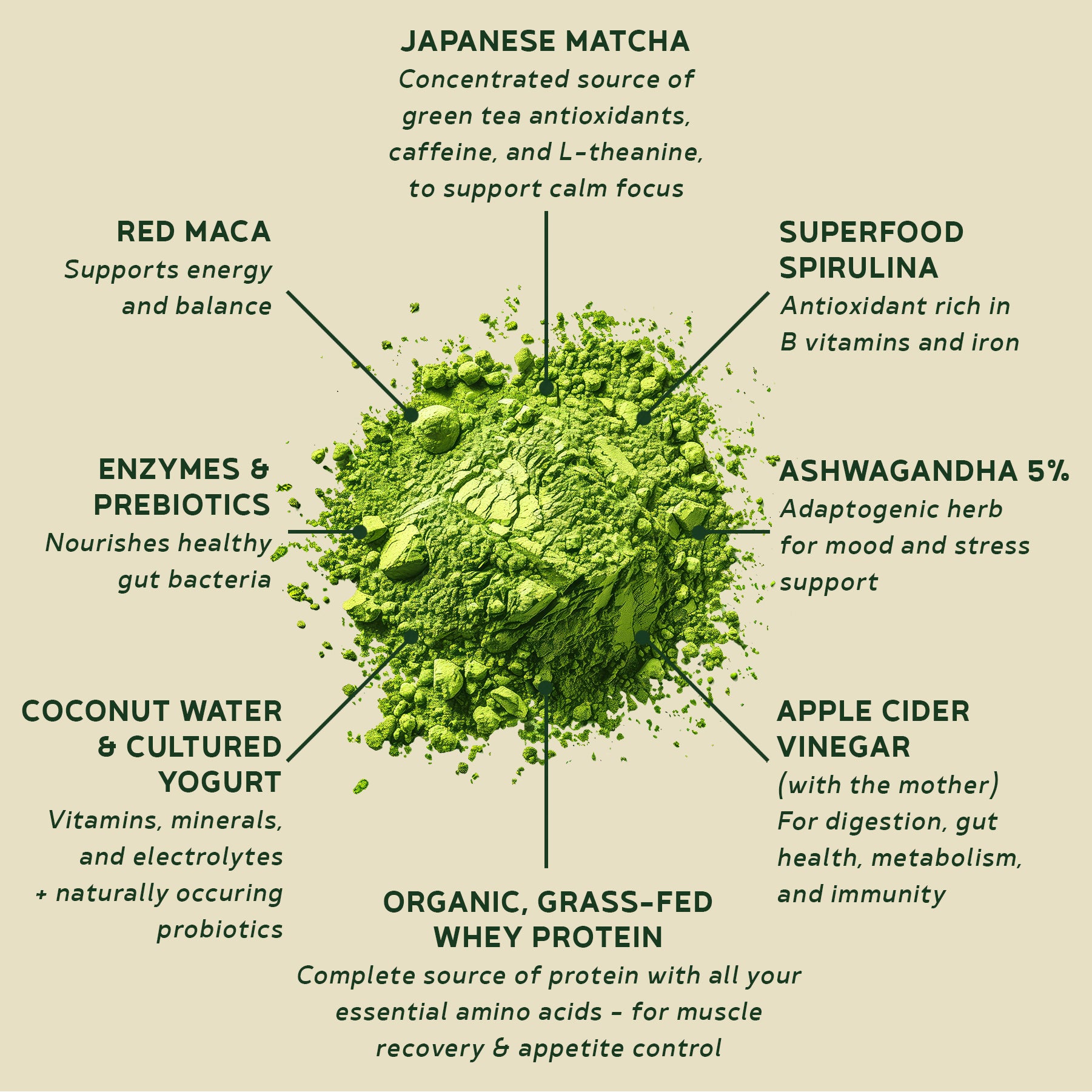 BBfL Adaptogenic Matcha Cream (Grass-fed Whey) - 10 Pack - BestBodiesforLife