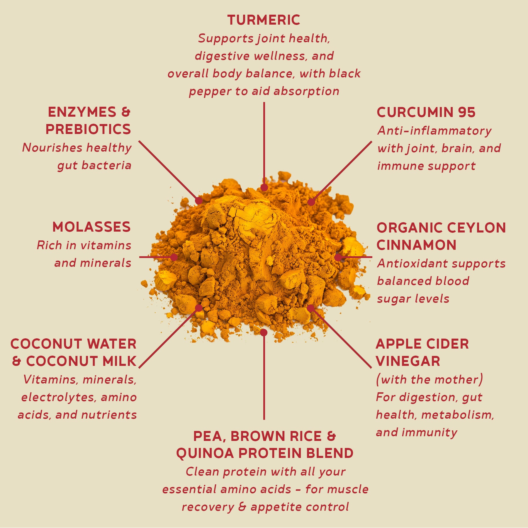 BBfL Turmeric Curcumin Cream (Plant-Based) - 10 Pack - BestBodiesforLife