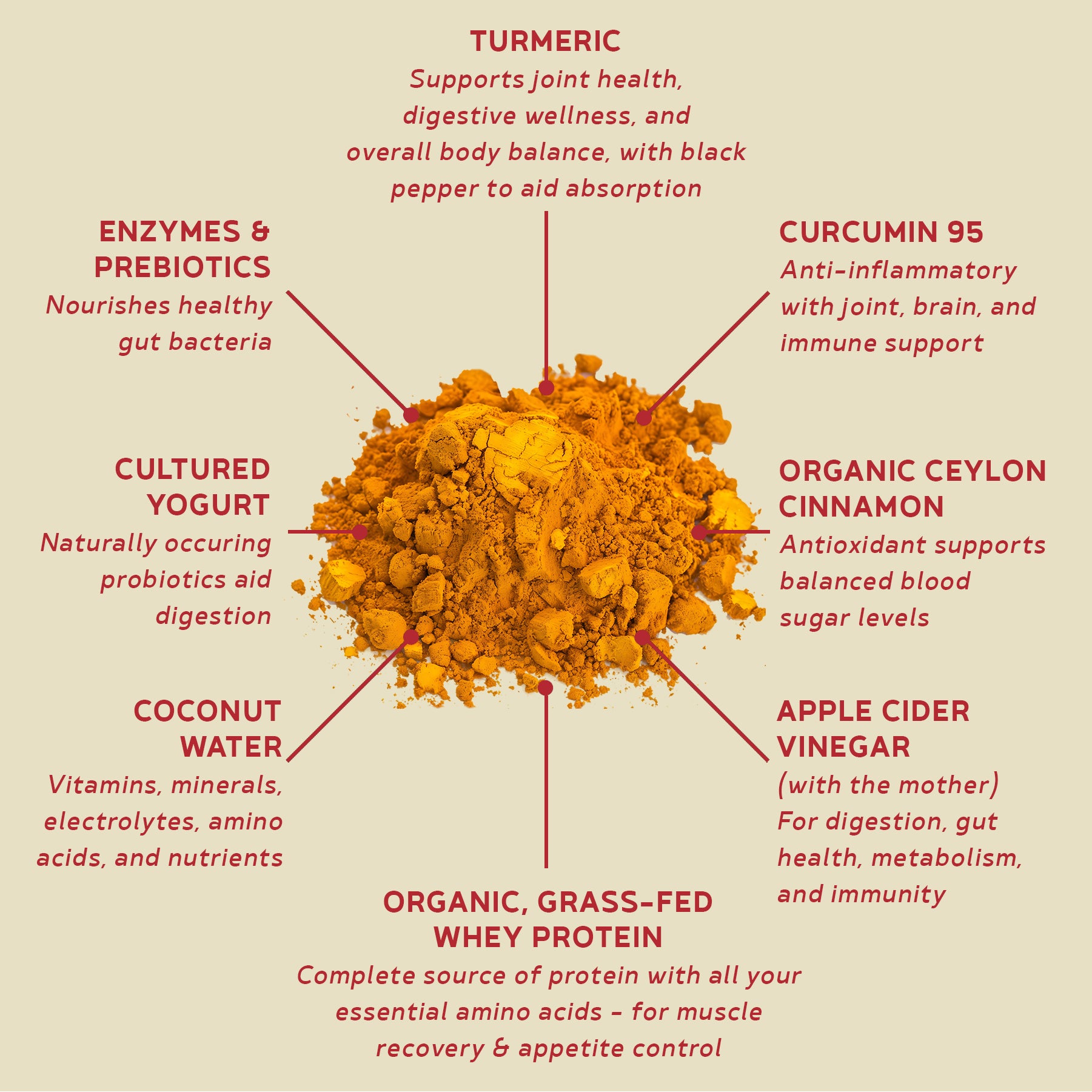 BBfL Turmeric Curcumin Cream (Grass-fed Whey) - 10 Pack - BestBodiesforLife