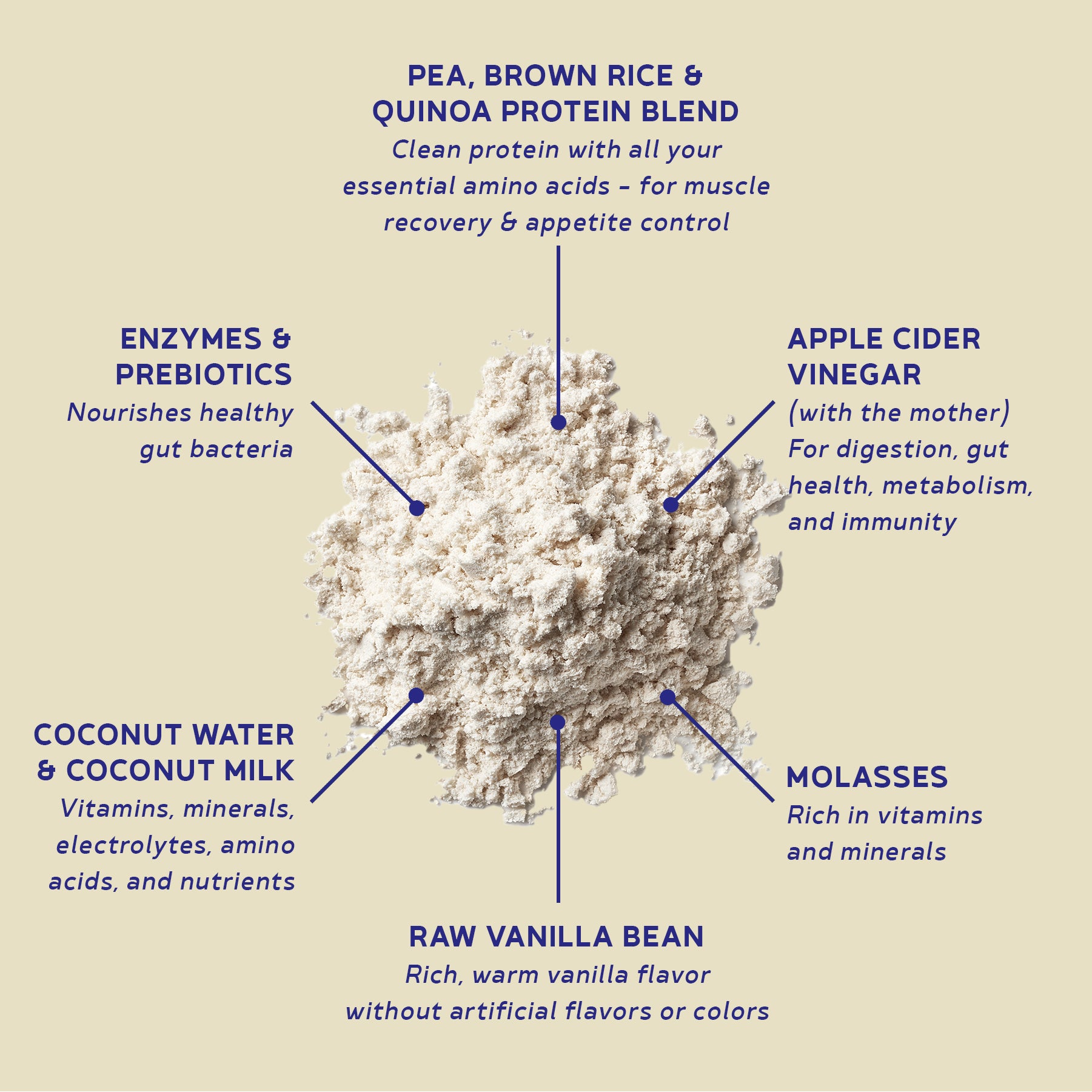 BBfL Vanilla Cream (Plant-Based) - 10 Pack - BestBodiesforLife