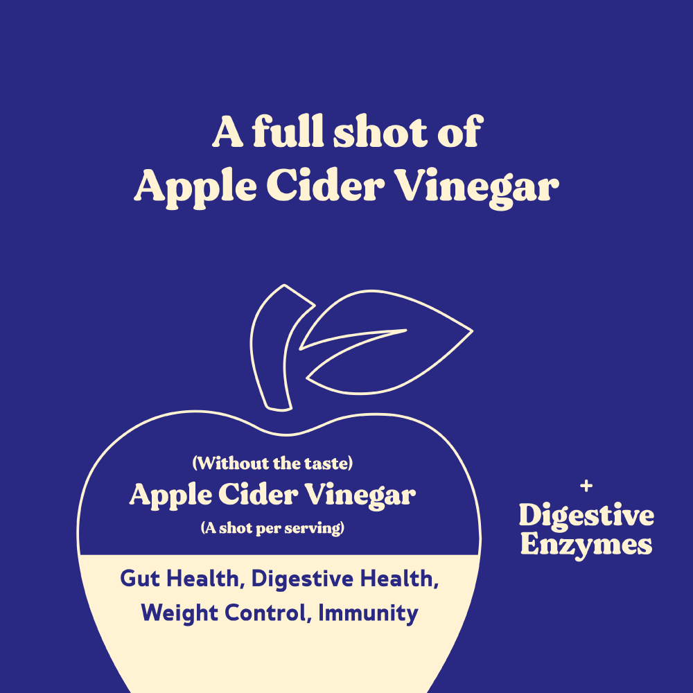 BBfL Whey Based Life Style Protein Shake, Vanilla (10 Pack) - BestBodiesforLife