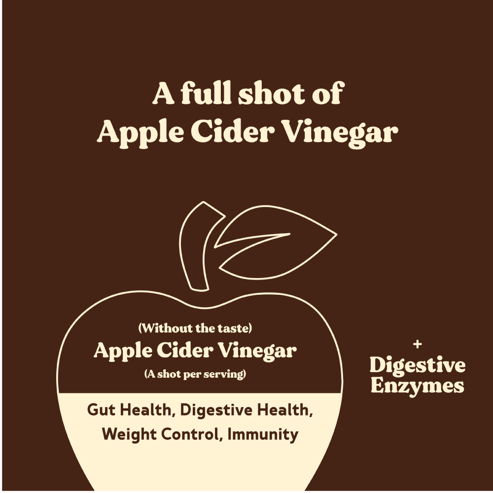 BBfL Whey Based Life Style Protein Shake, Cocoa (10 Pack) - BestBodiesforLife