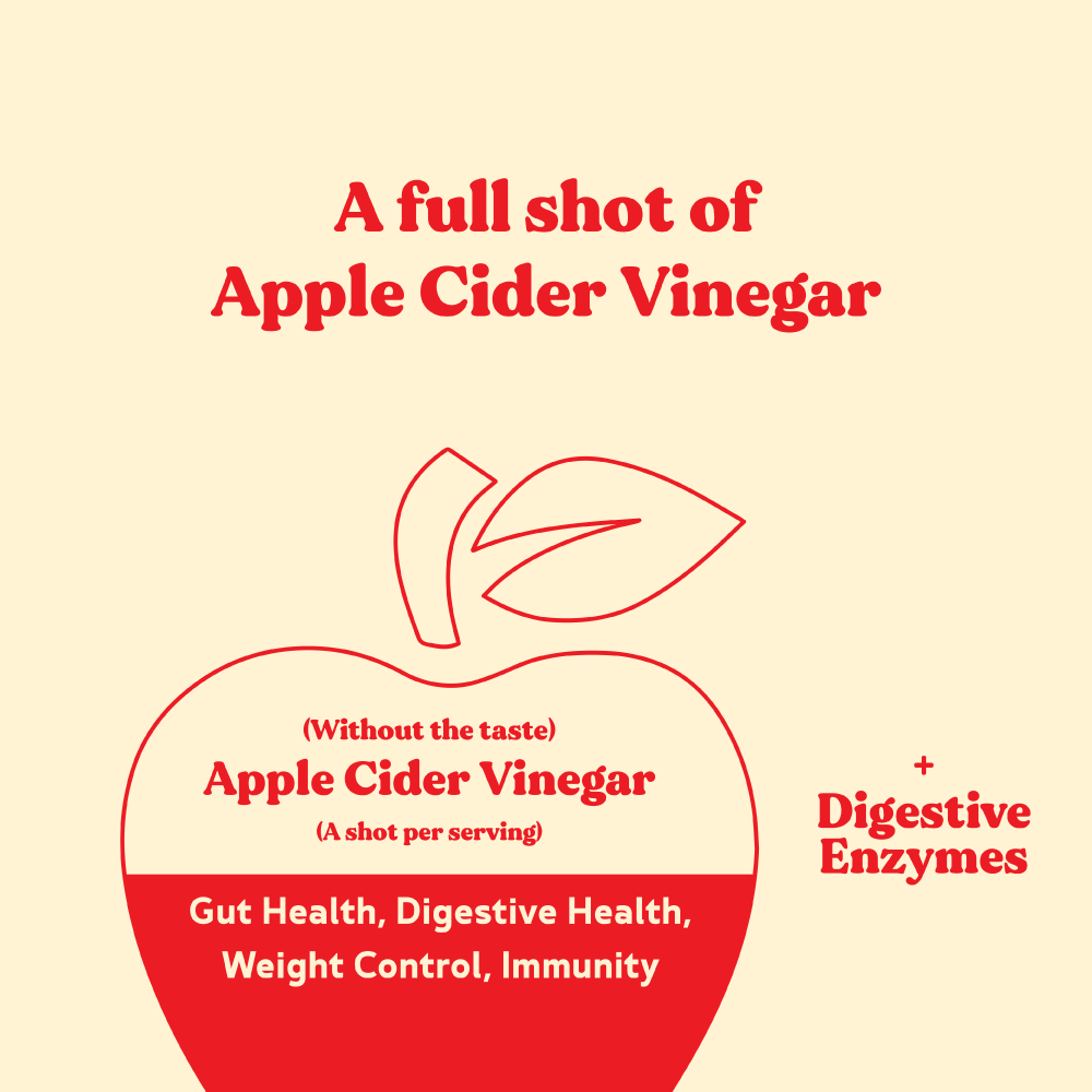 100% Plant Based Turmeric Curcumin Cream Life Style Shake (Creamy & Cinnamoney) - BestBodiesforLife