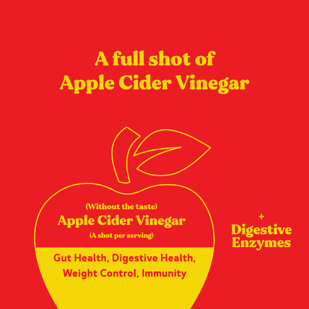 BBfL Turmeric Curcumin Cream Life Style Shake (Creamy & Cinnamoney) - BestBodiesforLife