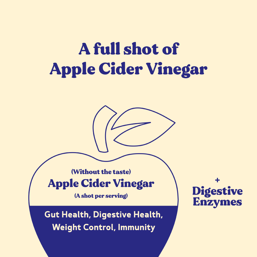 BBfL Plant Based Life Style Protein Meal Replacement Shake, Vanilla (10 Pack) - BestBodiesforLife