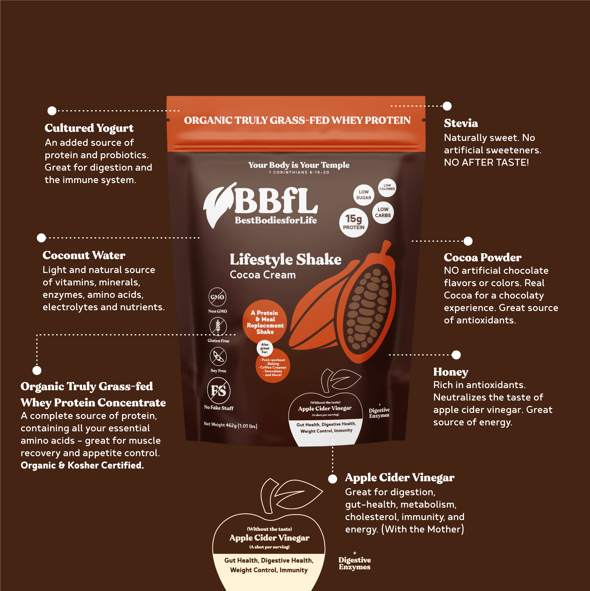 BBfL Whey Based Life Style Protein Shake, Cocoa (10 Pack)